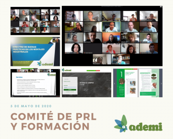 Éxito de participación en el  primer Comité virtual de PRL y Formación de ADEMI